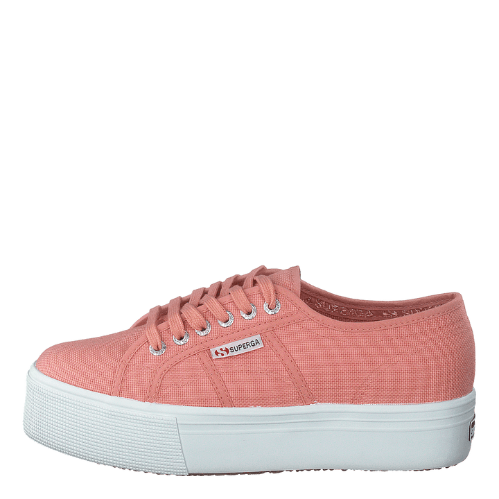 2790 Acotw Linea Rose Lobster