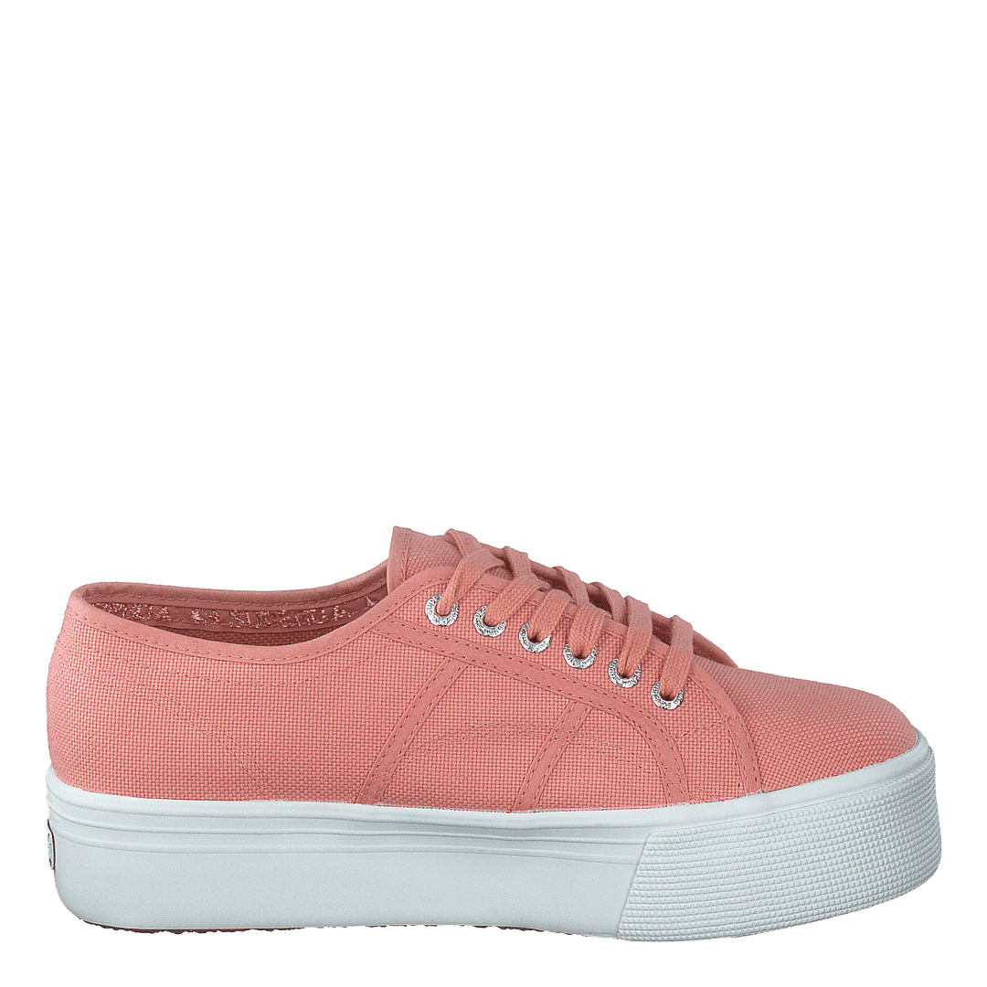 2790 Acotw Linea Rose Lobster