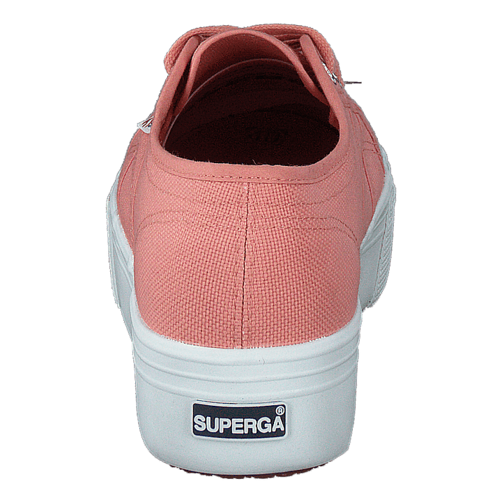 2790 Acotw Linea Rose Lobster