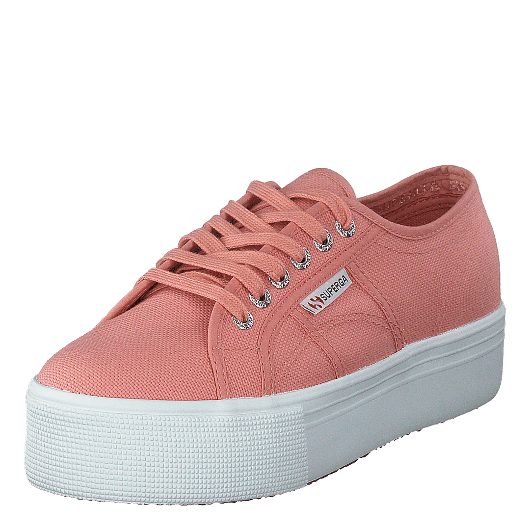 2790 Acotw Linea Rose Lobster