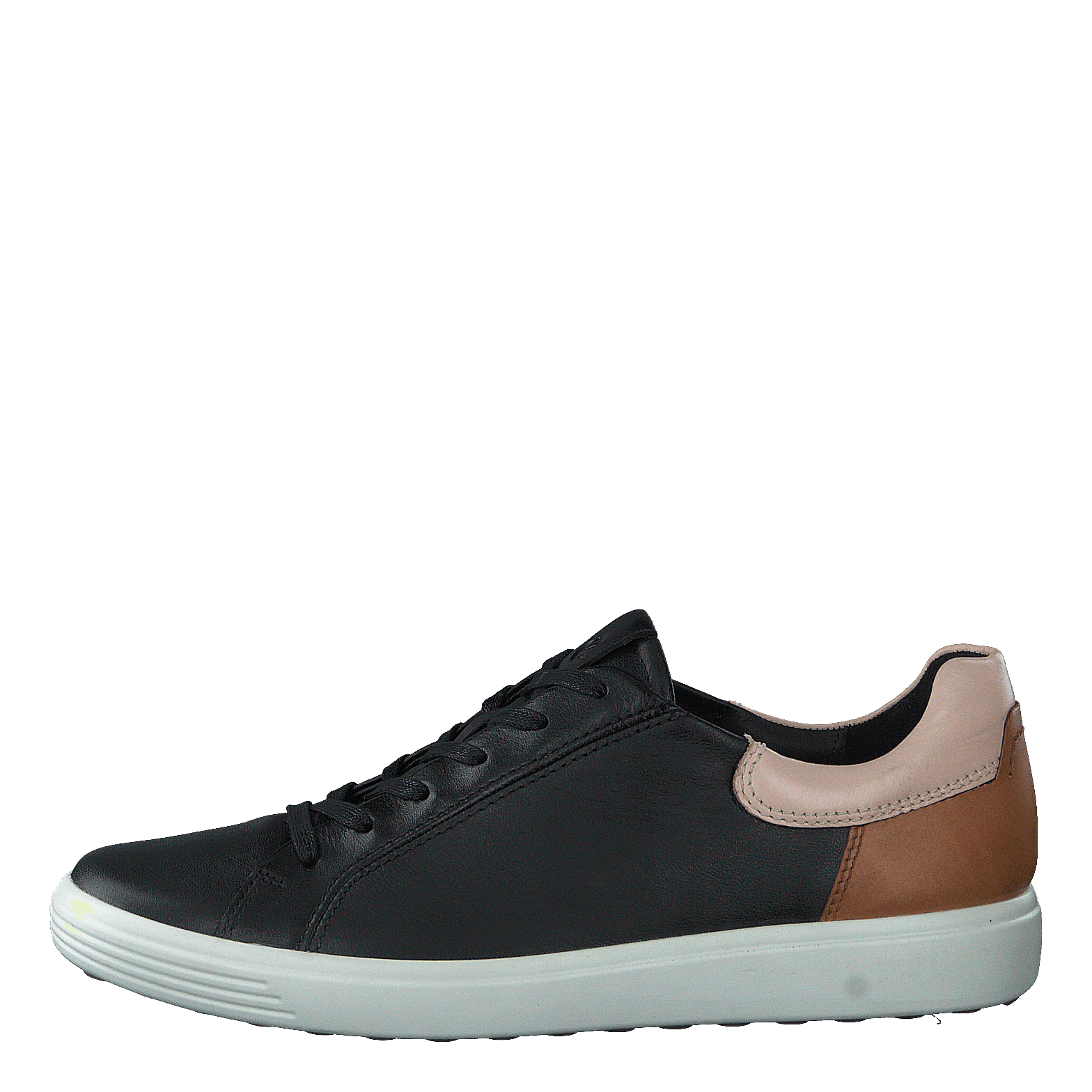 Ecco rose deals dust