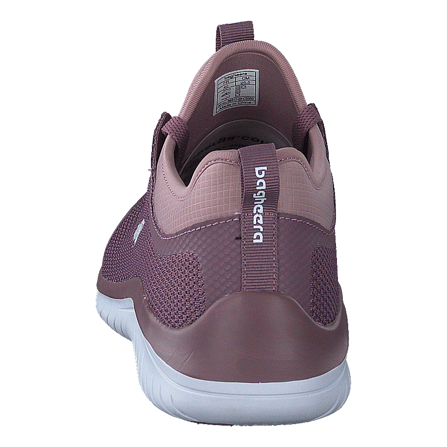 Swift Purple/lavender