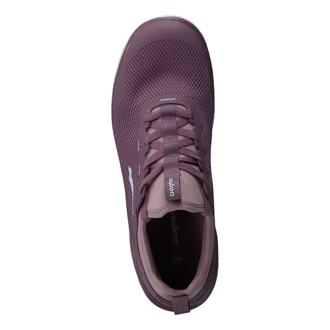 Swift Purple/lavender