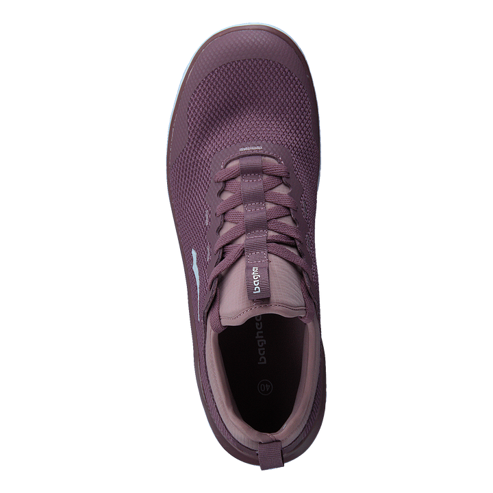 Swift Purple/lavender