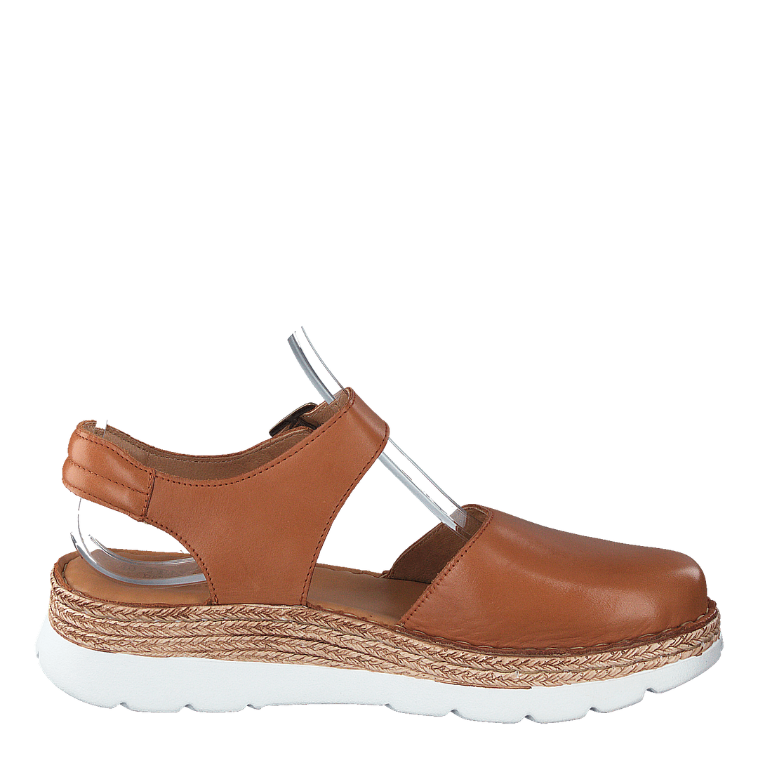 Maya Cognac