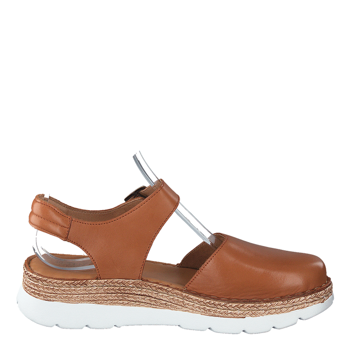 Maya Cognac