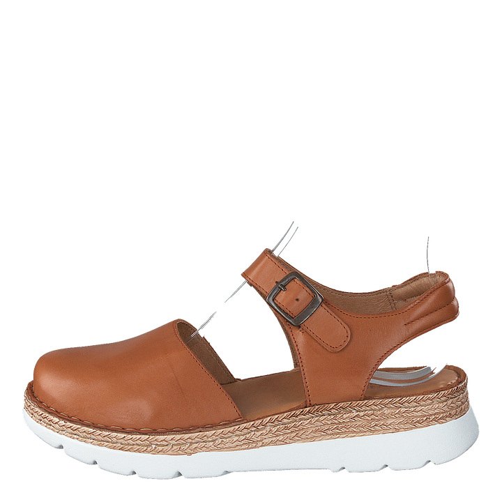 Maya Cognac