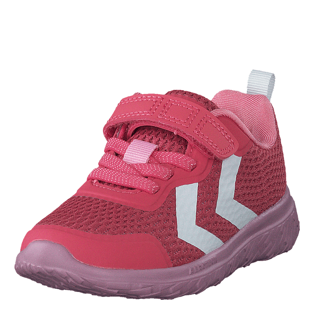 Actus Ml Infant Tea Rose