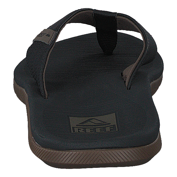 Reef Santa Ana Black