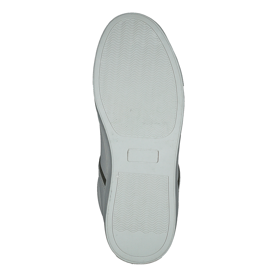 Boston White