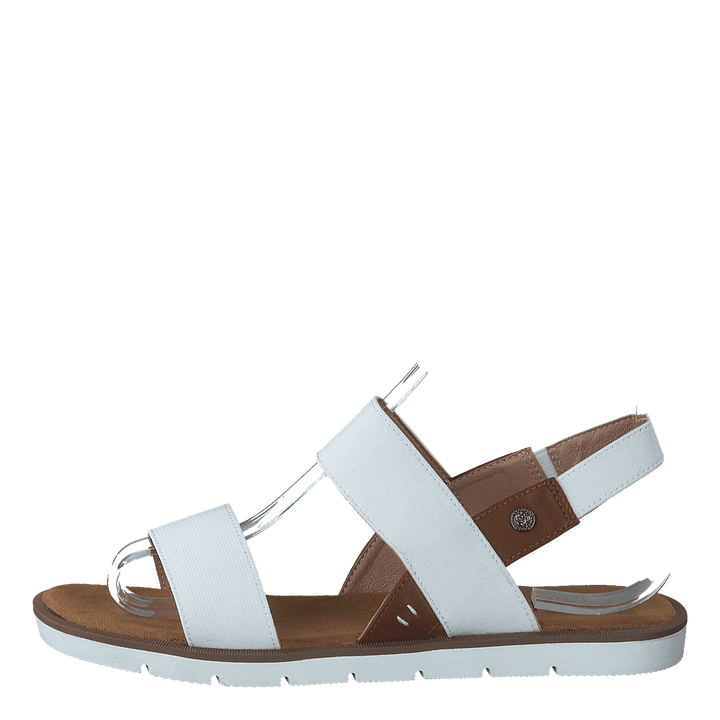 75-99505 White