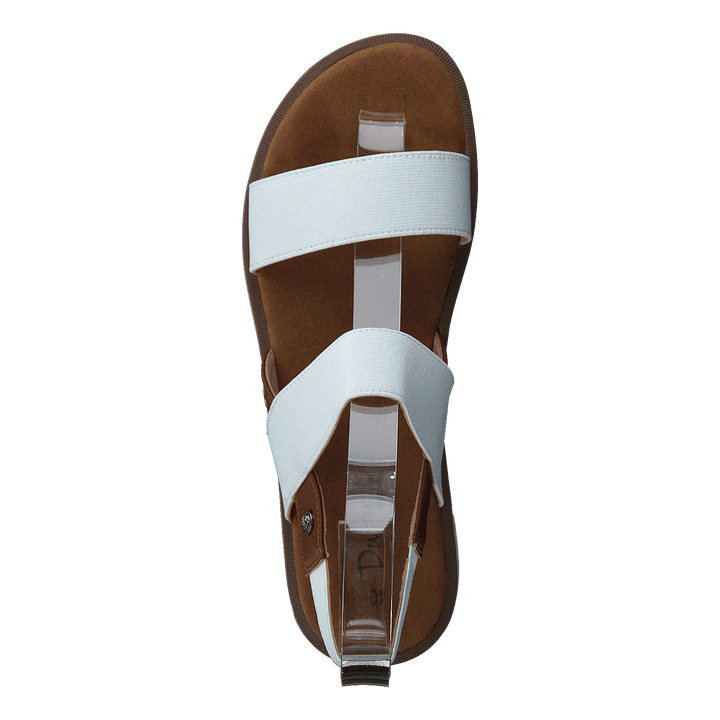 75-99505 White