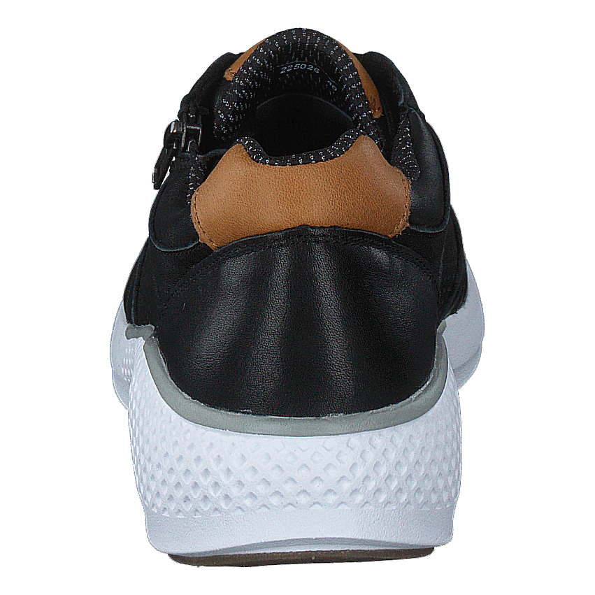 Dolphin Black