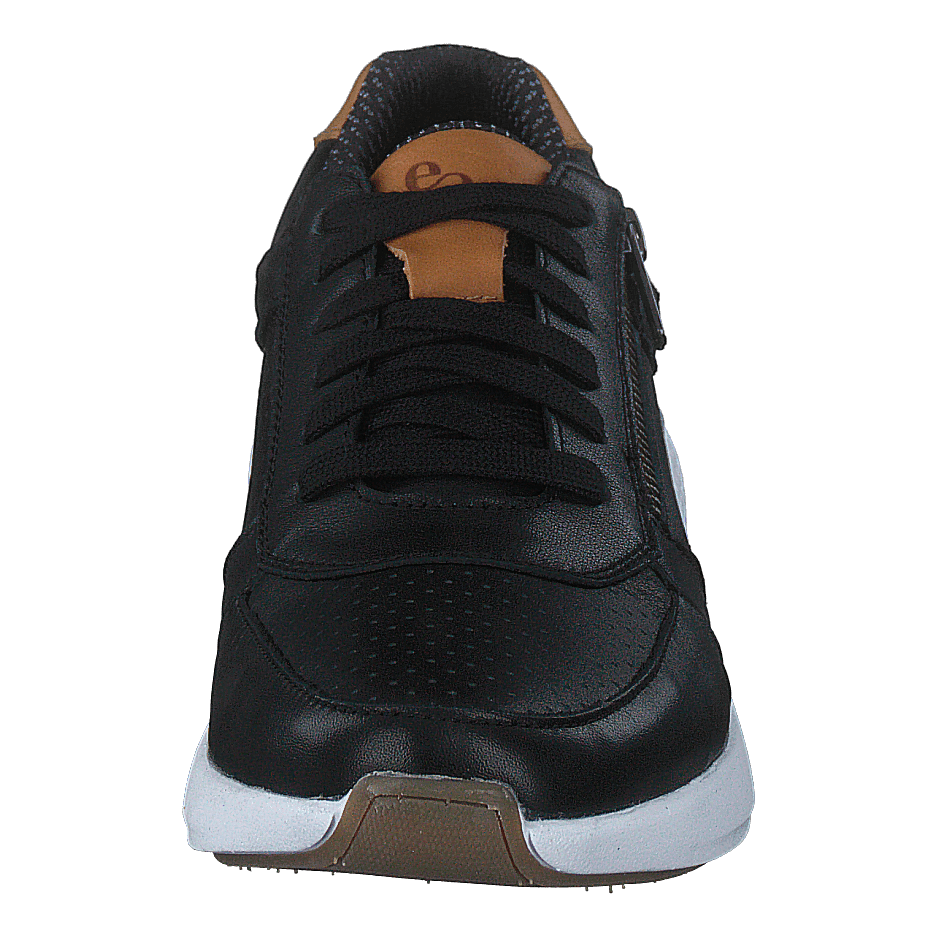 Dolphin Black