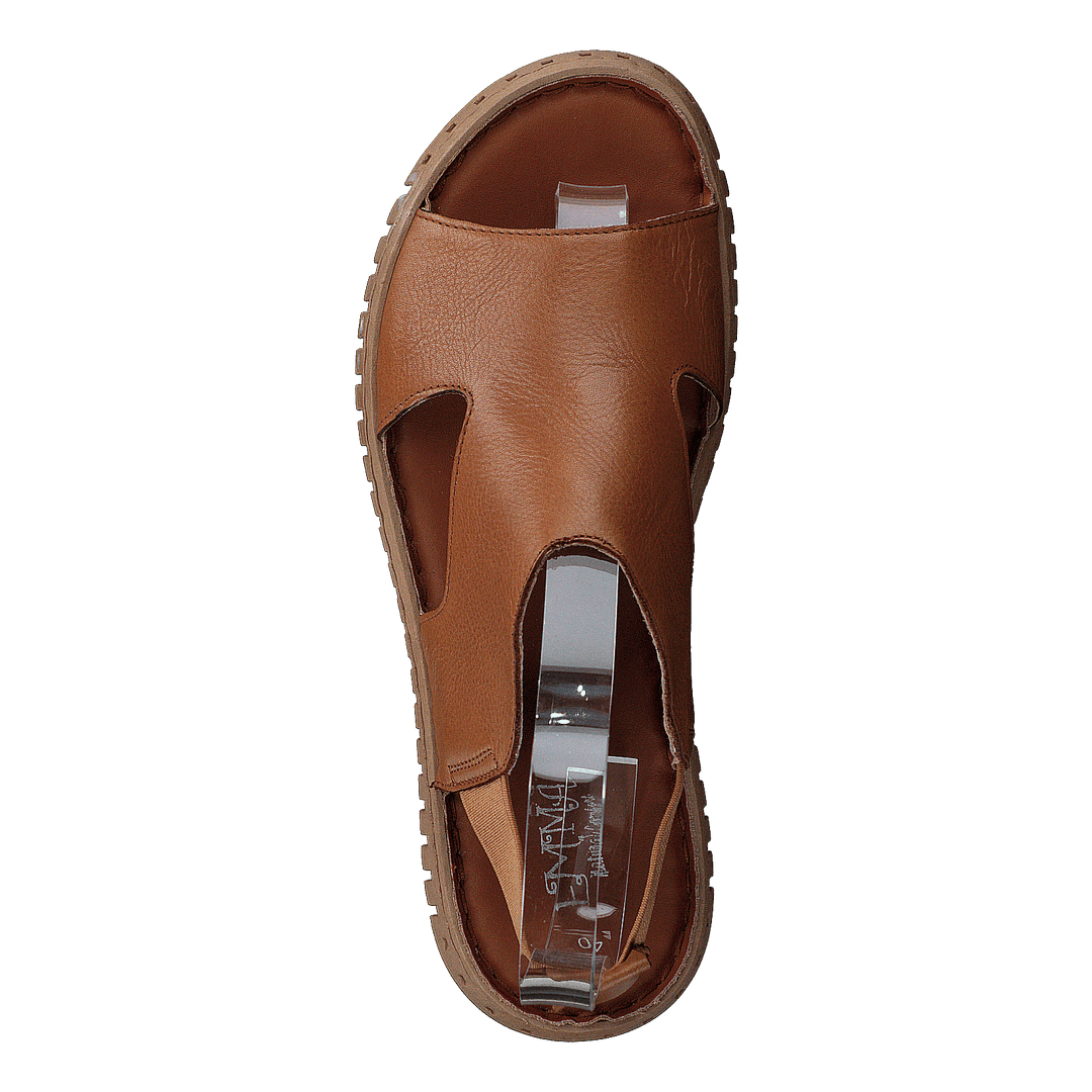 483-4926 Cognac