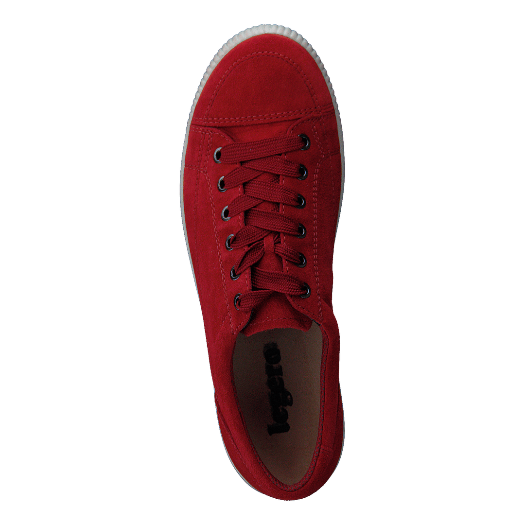 Tanaro 4.0 Red