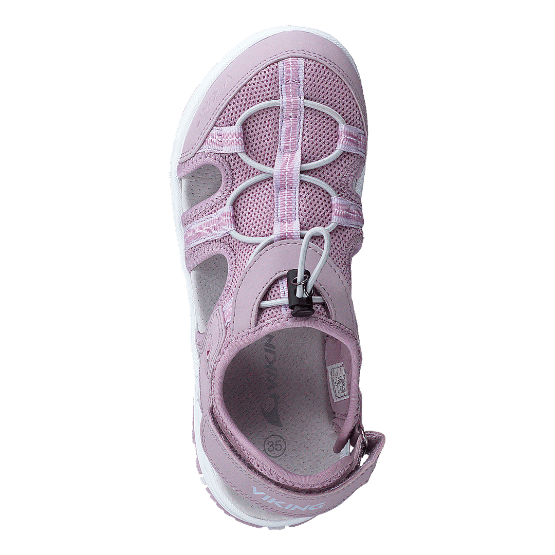 Thrill Lilac/Light Lilac