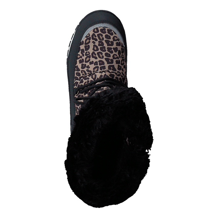 Ysby Leopard