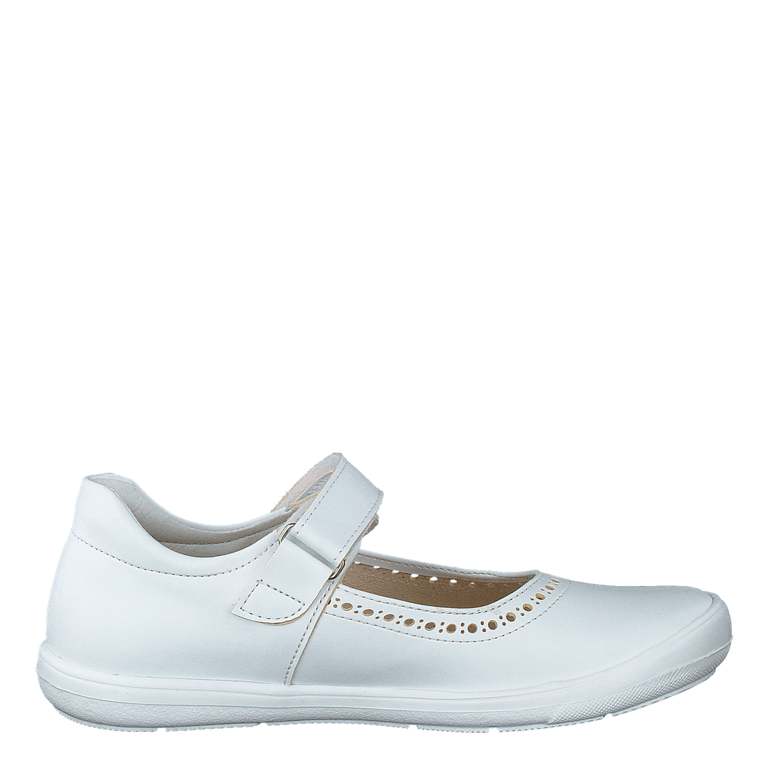 Ammenäs Xc White