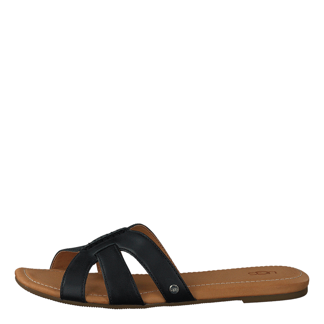 Teague Black