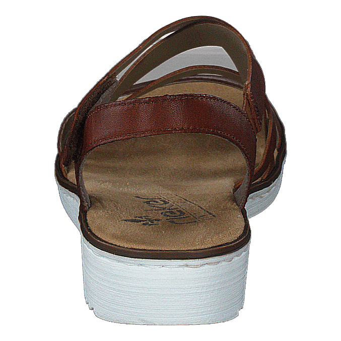 63663-24 Brown