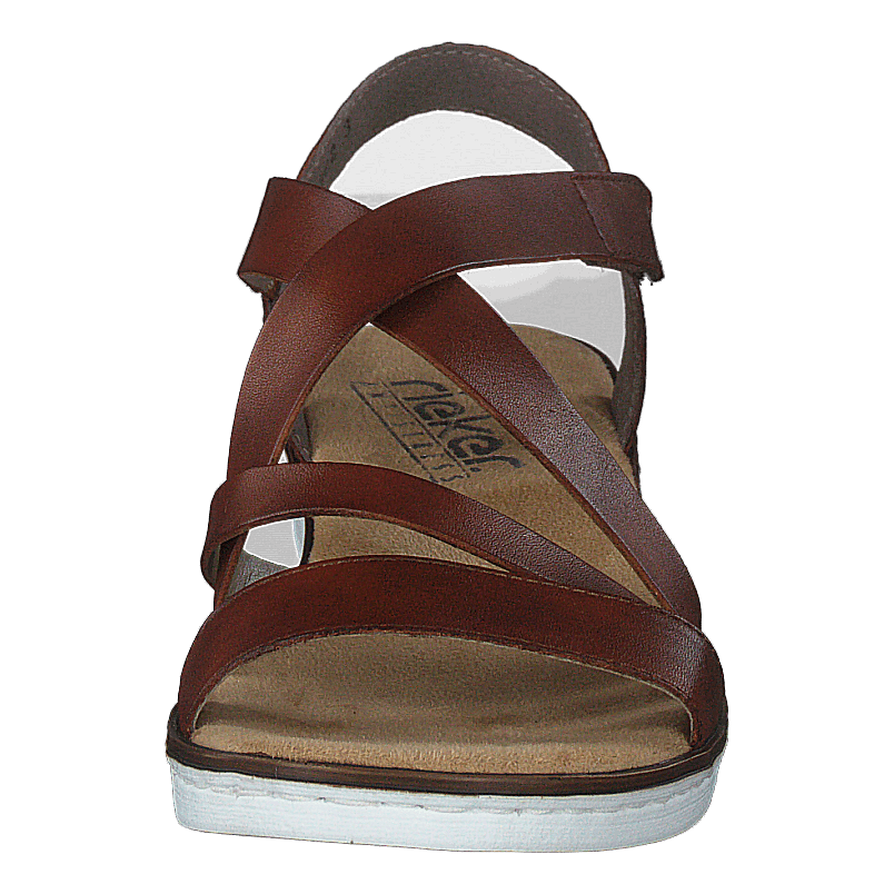 63663-24 Brown