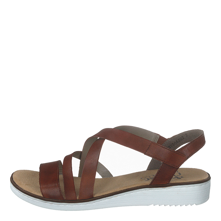 63663-24 Brown