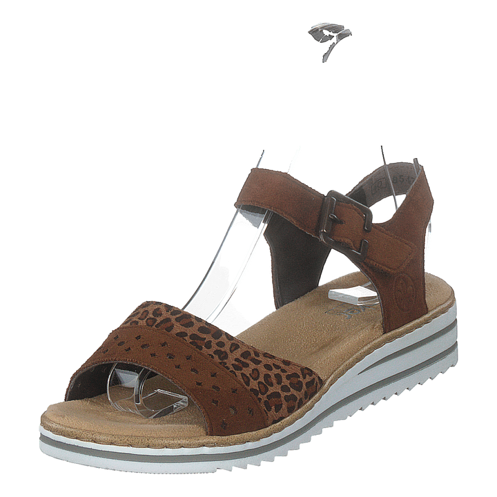 V0626-24 Leo/brown