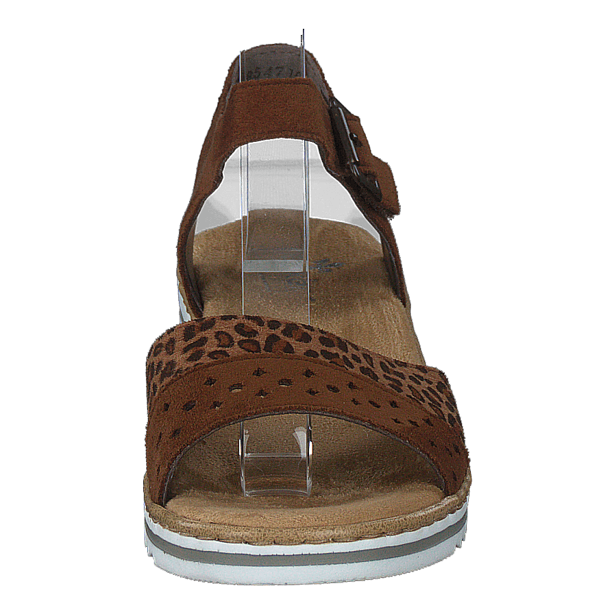 V0626-24 Leo/brown