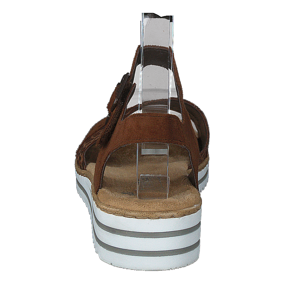 V0626-24 Leo/brown