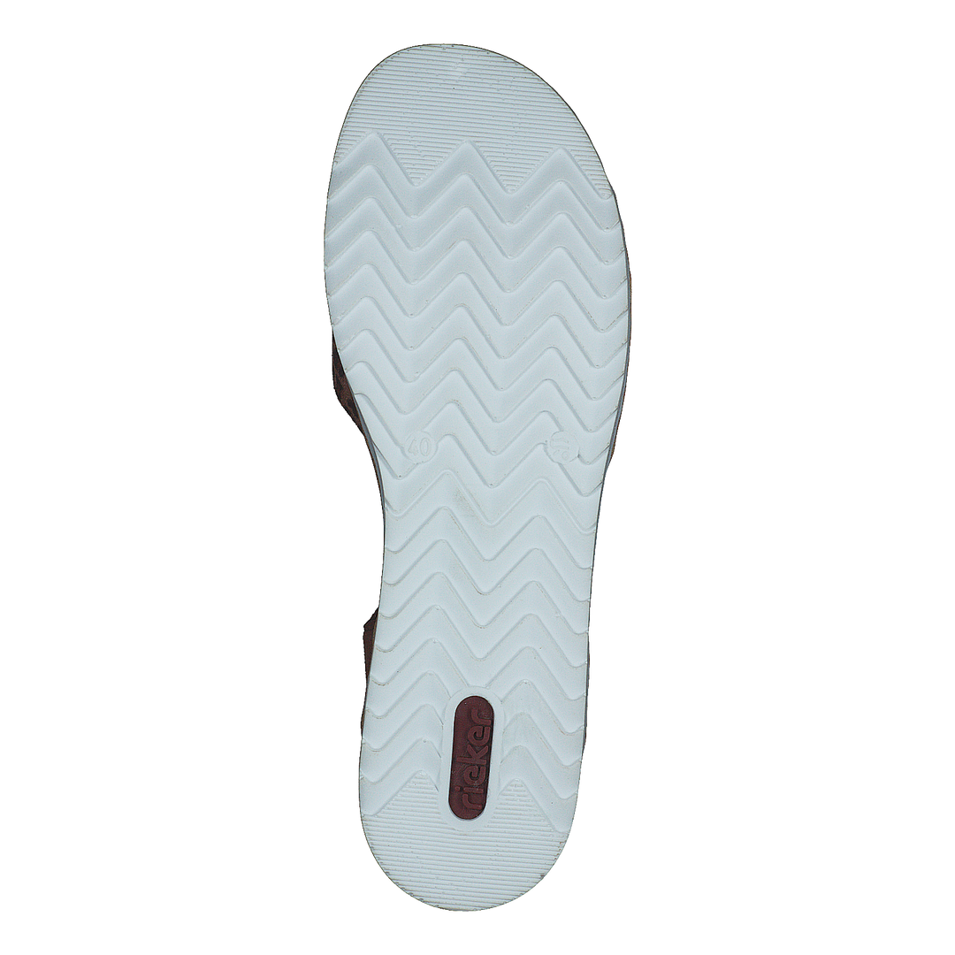 V0626-24 Leo/brown