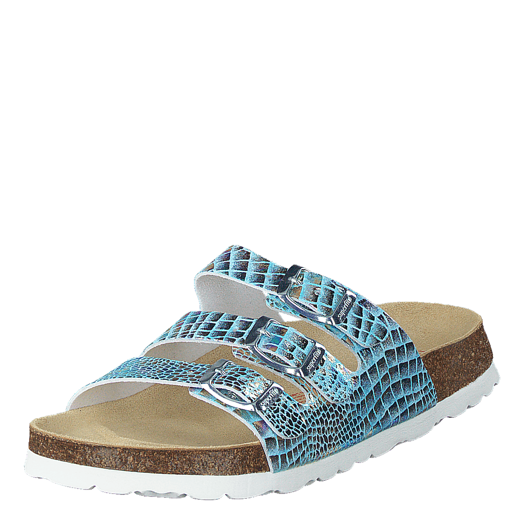 Korkis 3 Blue