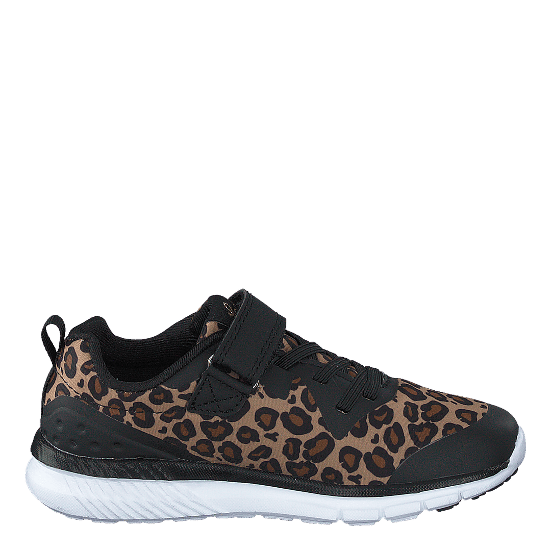 Kolima Leopard