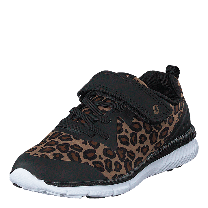 Kolima Leopard