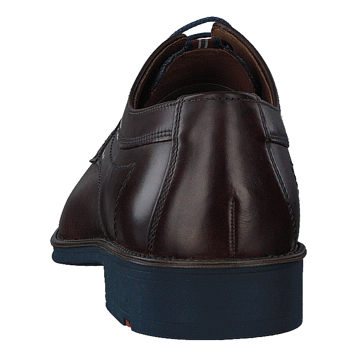 Gasal Cioccolato/ocean - Heppo.com