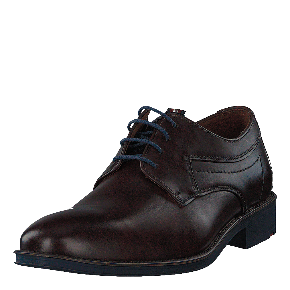 Gasal Cioccolato/ocean - Heppo.com