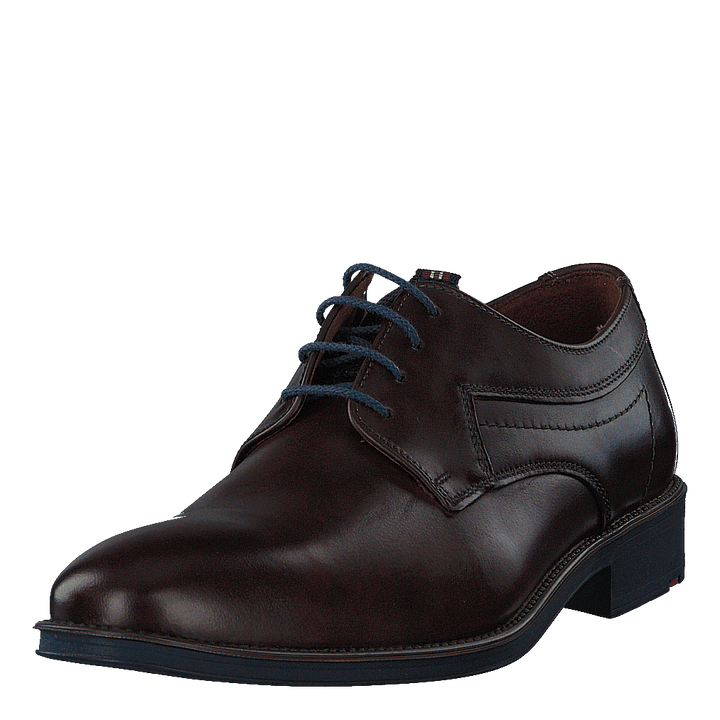 Gasal Cioccolato/ocean - Heppo.com