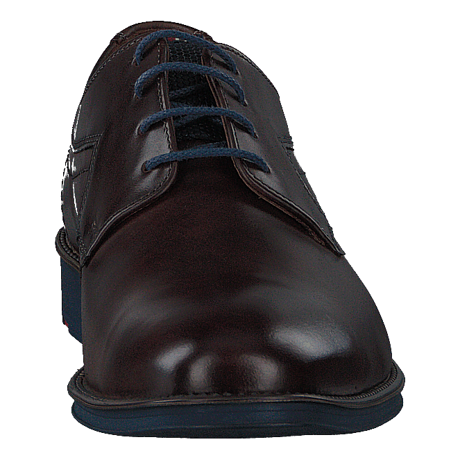 Gasal Cioccolato/ocean - Heppo.com