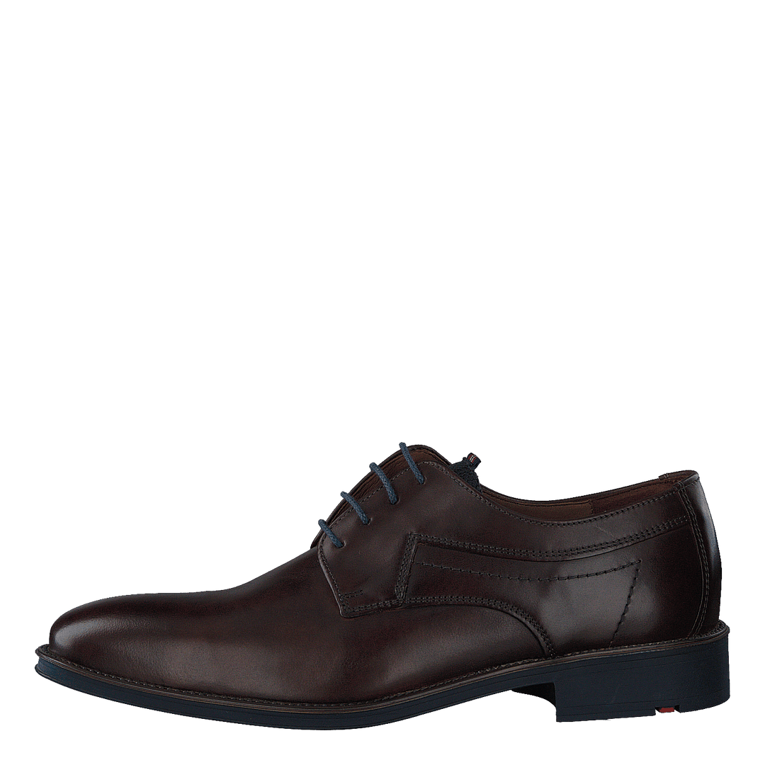 Gasal Cioccolato/ocean - Heppo.com