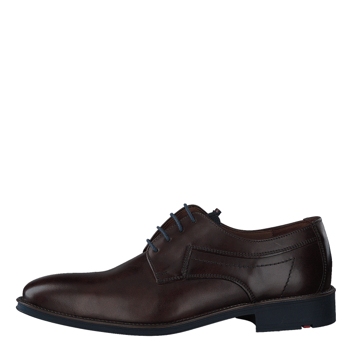 Gasal Cioccolato/ocean - Heppo.com