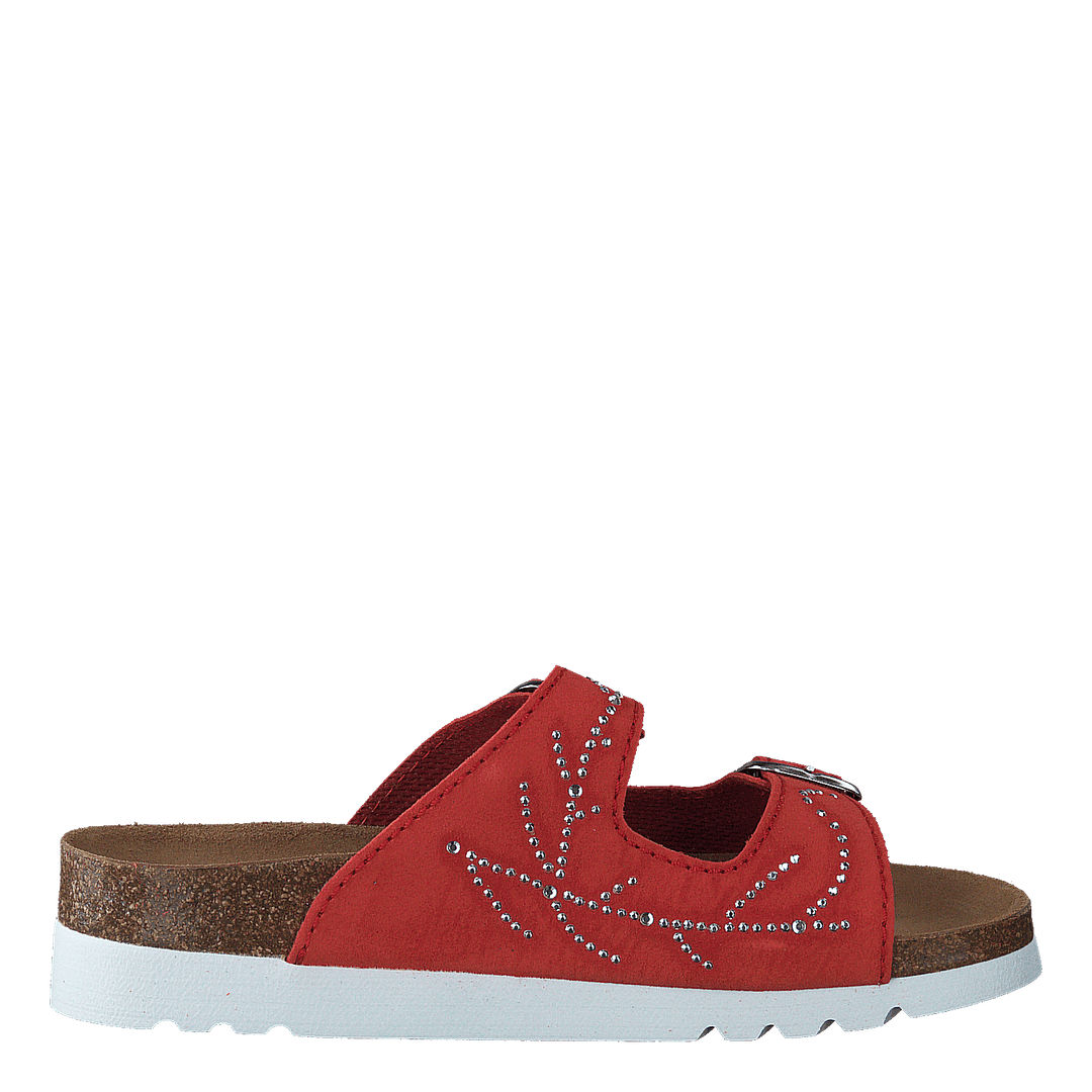 Malaren Coral