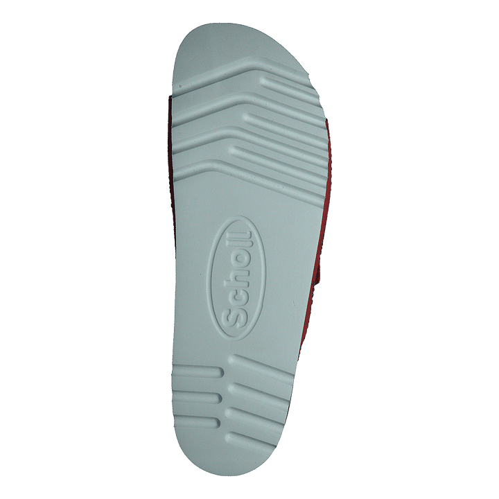 Malaren Coral