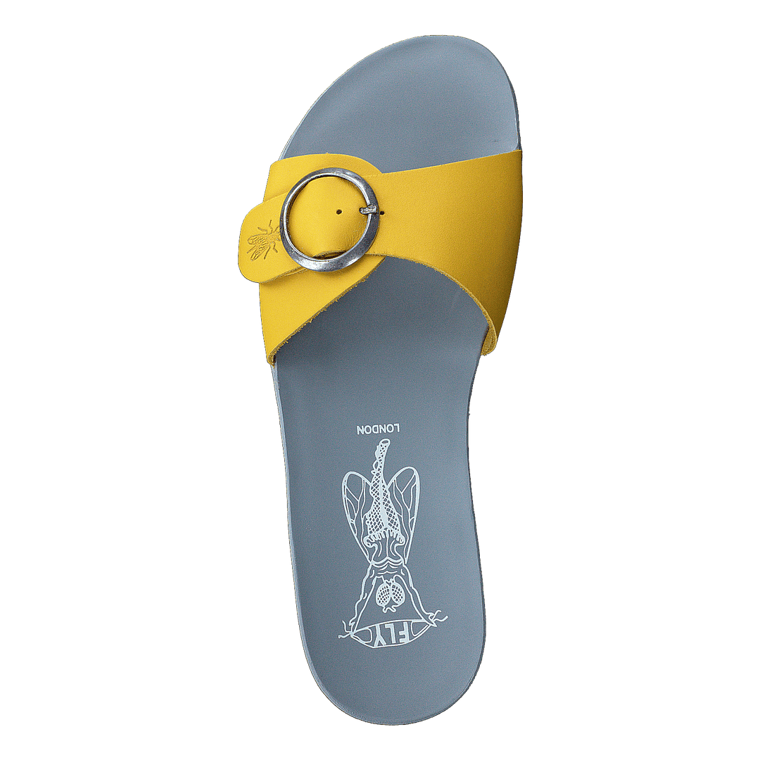 Moly759fly Brooklyn-lemon