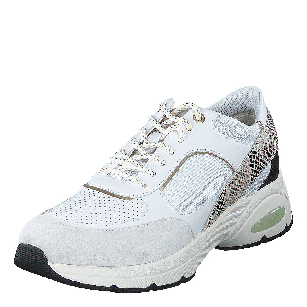 D Alhour White/off White