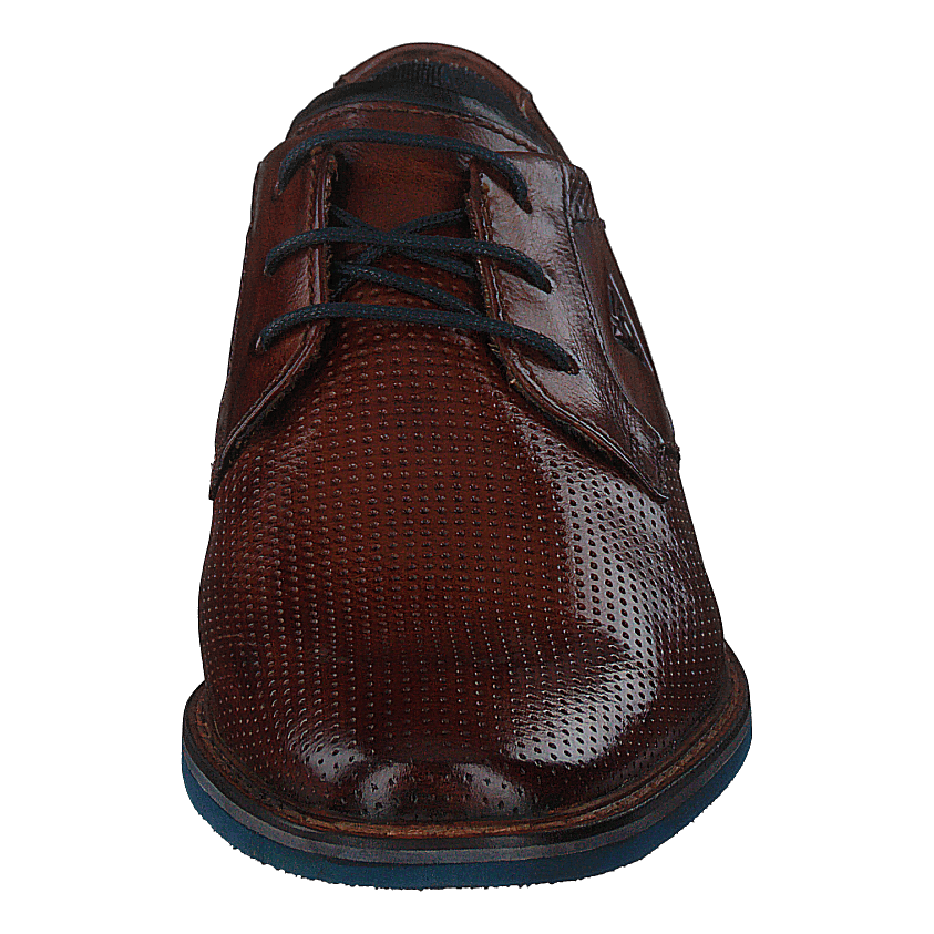 Rafo Exco 6300 Cognac
