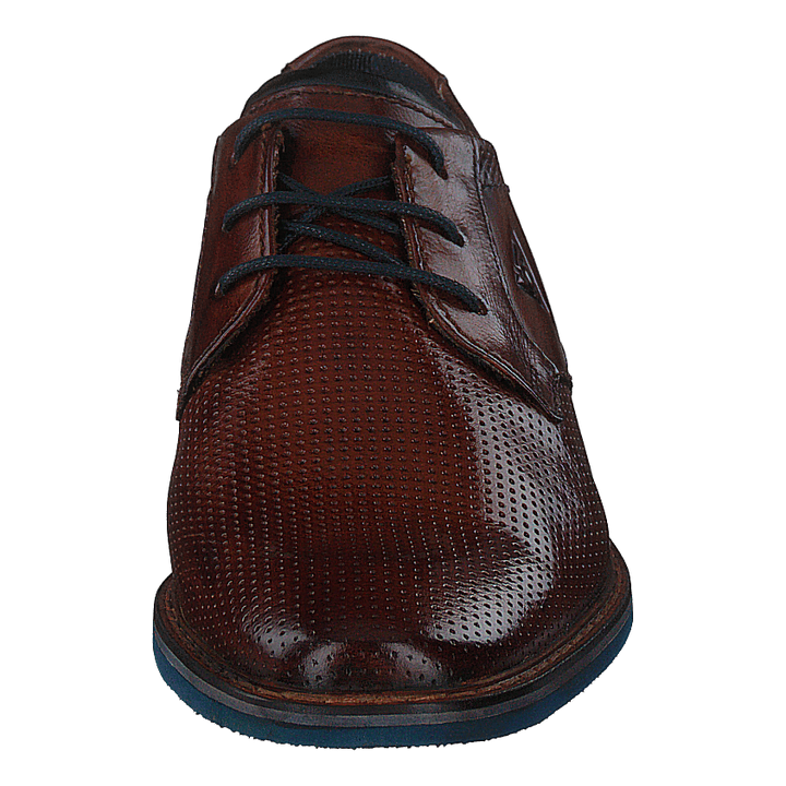 Rafo Exco 6300 Cognac