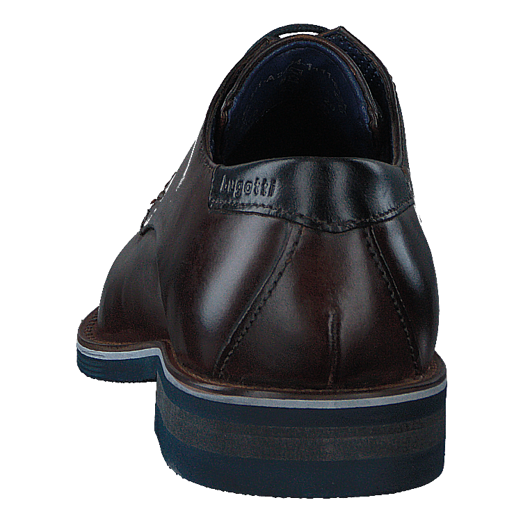 Laino 6161 Dark Brown / Dark Brown