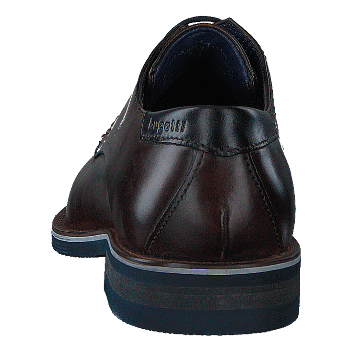 Laino 6161 Dark Brown / Dark Brown