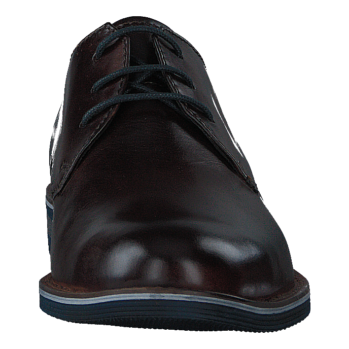 Laino 6161 Dark Brown / Dark Brown
