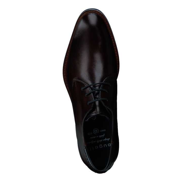 Laino 6161 Dark Brown / Dark Brown